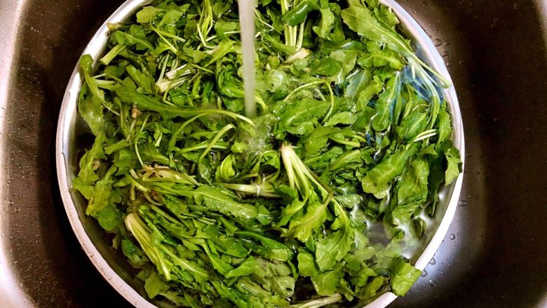 荠菜饺子,荠菜洗净,放入一勺盐浸泡20分钟