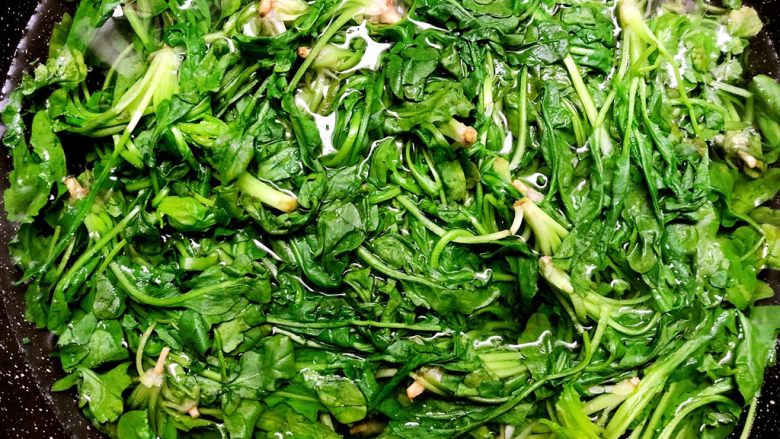 荠菜饺子,锅里放入半锅水烧开,放入一勺盐,几滴油,放入荠菜焯软