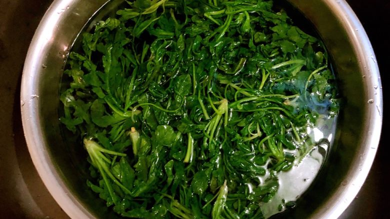 荠菜饺子,焯好马上沥到冷水里冲凉,冲好放冷水中浸泡10分钟