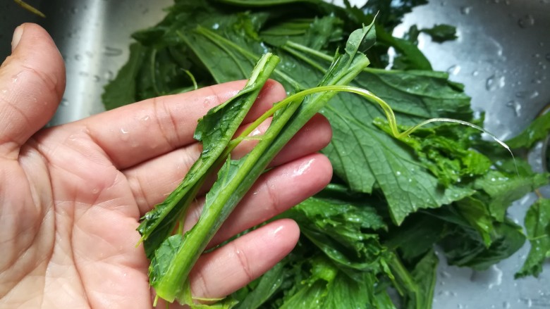 #舌尖上的乡愁#二月二,芥菜饭,洗芥菜叶,看,每个有脉络的都要给撕下来,不然影响口感,必须保证都是叶子才好。
这点我老师也一再交待的。