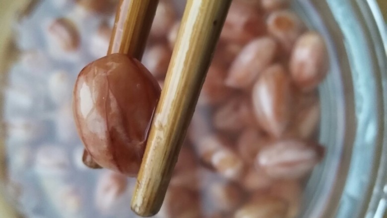 下酒小菜――凉拌花生,将花生小火煮五分钟左右,等花生皮透明的时候取出。