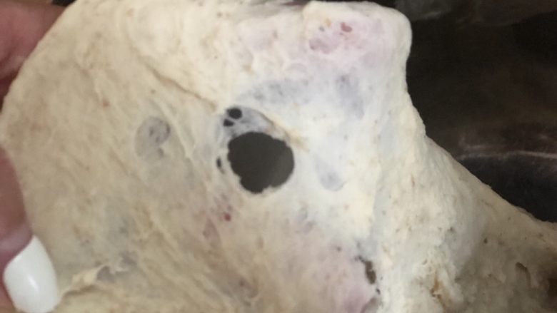 蔓越莓核桃软欧包,一档5分钟换3档10分钟后,可以拉出粗糙的膜,破洞呈锯齿状。