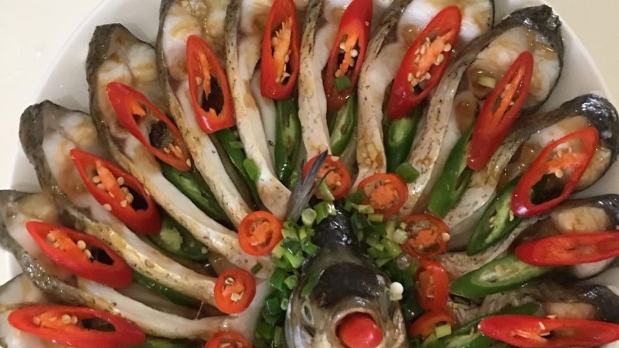 简单版孔雀开屏鱼