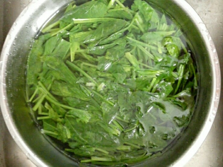 凉拌果仁菠菜,焯熟的菠菜过冷水,捞出,沥水