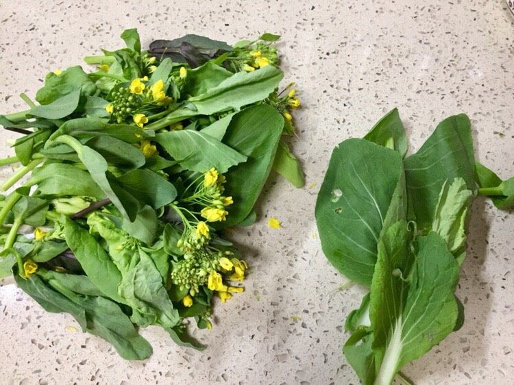 春食野菜~蚝油蒜泥田野油菜花,有烂叶取出,洗净备用