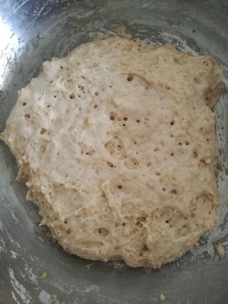 全麦小餐包,波兰种食材混合一起发酵至冒泡泡即可使用。我是冰箱冷藏了10小时。