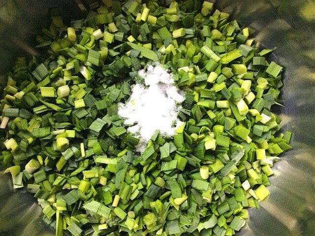 韭菜鸡蛋手擀面,放入盆中加少许盐,搅拌均匀,杀出韭菜的水。