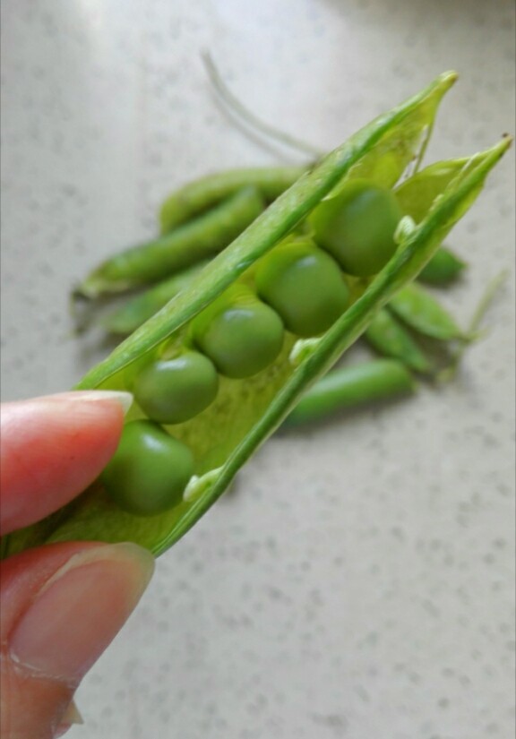 松仁玉米,买来的新鲜青豆是这样的,自己剥出豆子