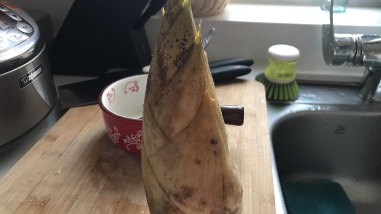 春笋肉丝菌菇汤,这种笋,去掉外皮就剩下一小丢丢了,只适合做个汤,炒盘菜都不够的。