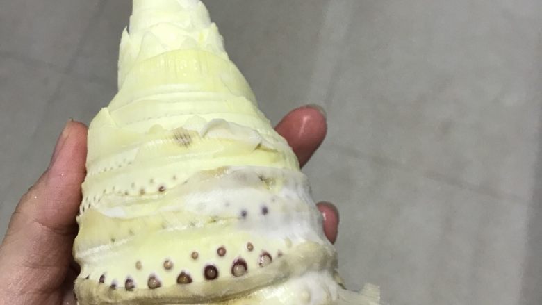 春笋肉丝菌菇汤,去掉皮,里面是这样,下面的还得削去一块,因为根部比较老不好吃,最后真的只剩下那么一点啦。