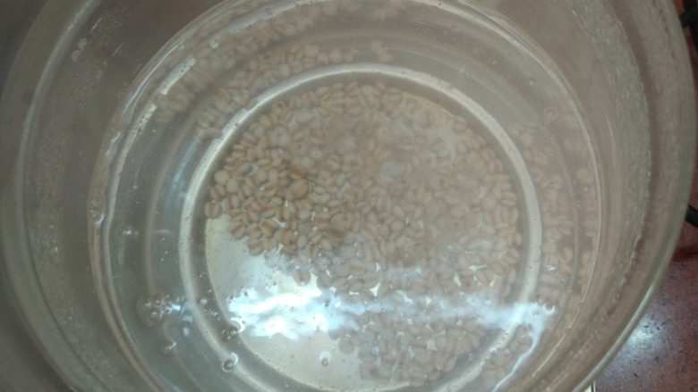 薏苡仁苦瓜排骨汤,将薏苡仁放养生壶里煮