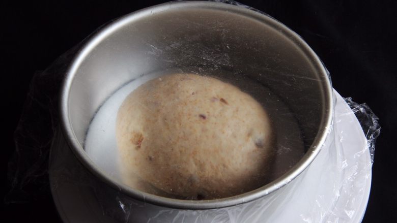 蔓越梅乡村面包,拿出整理一下,放入模具盖上保鲜膜。