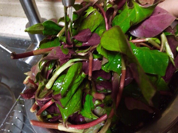 春季野菜~开胃酸辣折耳根(叶),放入一个稍大的碗里