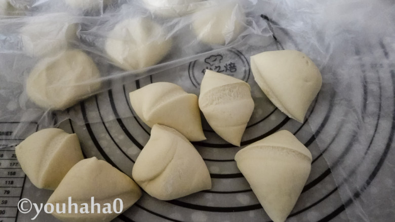 荠菜包子,发酵好的面团揉匀后,切成适当大小的剂子