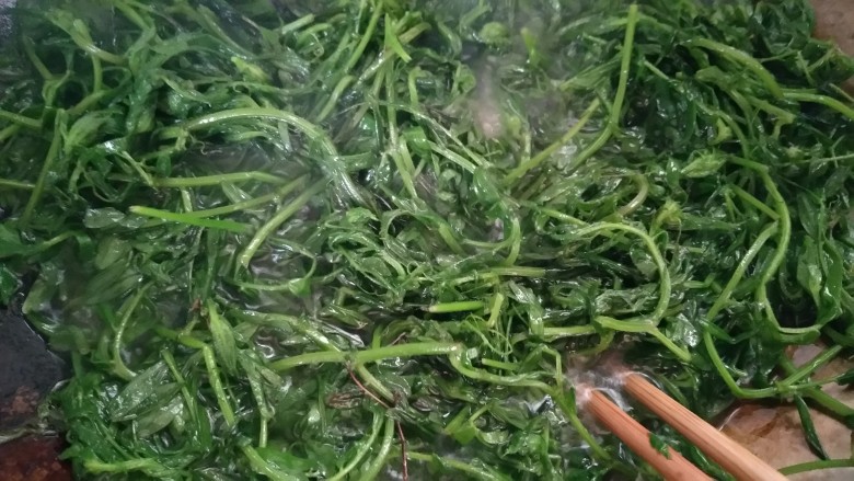 凉拌野豌豆苗,直到这样