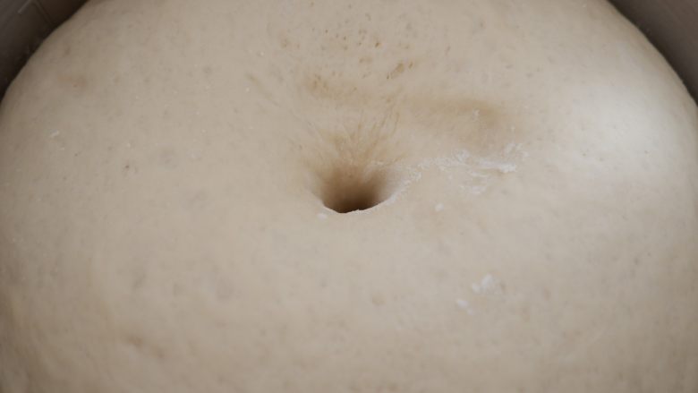 圆白菜虾皮素包子,然后将面粉加入,先用筷子搅拌成面絮,在揉成光滑的面团,盖上保鲜膜发酵至2.5倍大。