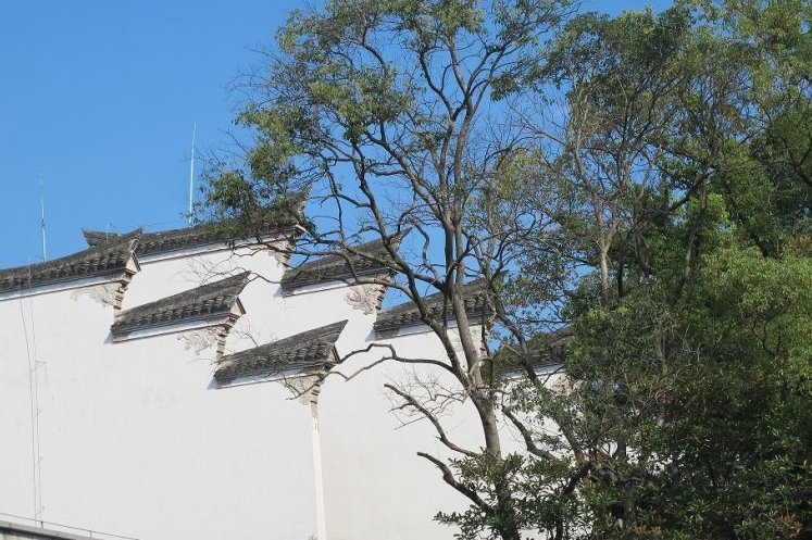 宁波印象(之一),儒雅文艺宁波慈城