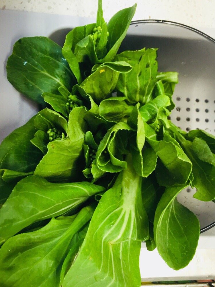 麻辣馄饨,洗干净的菜心，可以对切一下，看个人喜欢。我切了方便杆熟