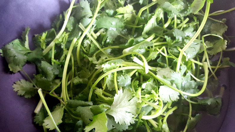 ~香菜百叶丝,香菜洗净。锅中开水,放入香菜。