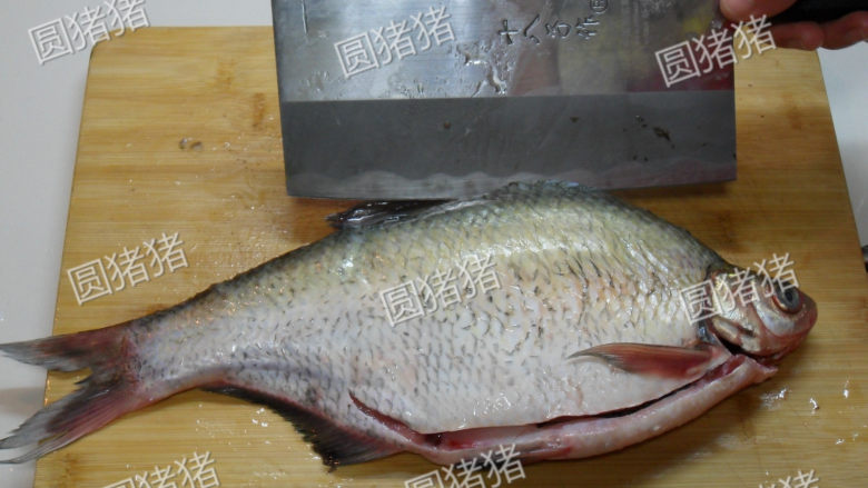 黄豆酱蒸鱼——简单又好味,<a style='color:red;display:inline-block;' href='/shicai/ 390'>鳊鱼</a>开肚去内脏，刮去鱼鳞，在背鱼浅割一刀。