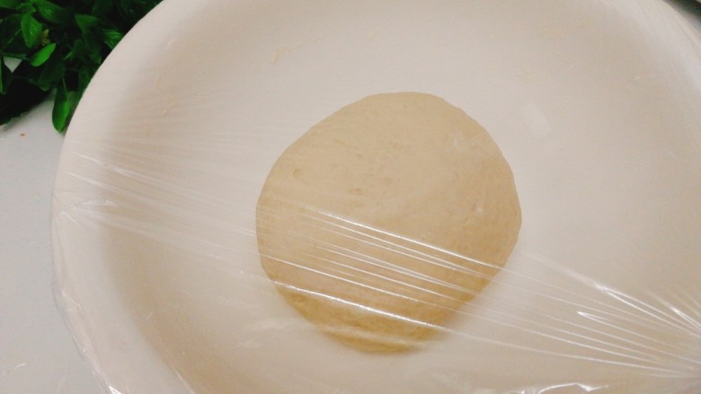 辅食计划+萝卜丝卷,把揉好的面团用保鲜膜盖好饧40分钟。