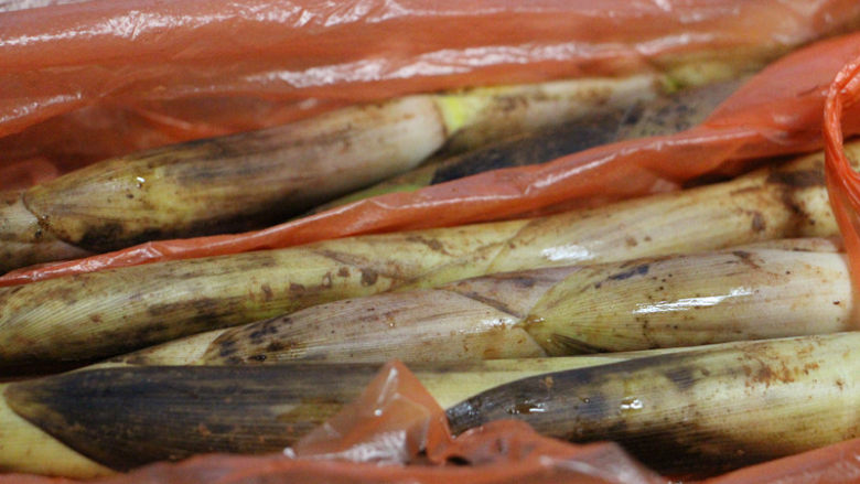 快手腌笃鲜,新鲜的<a style='color:red;display:inline-block;' href='/shicai/ 42'>春笋</a>适量,还带着泥巴。