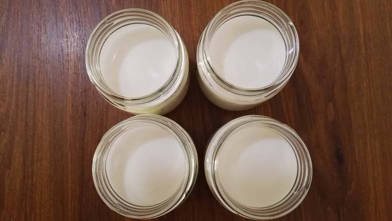 自制酸奶,将牛奶分别倒入消毒过的玻璃瓶中。