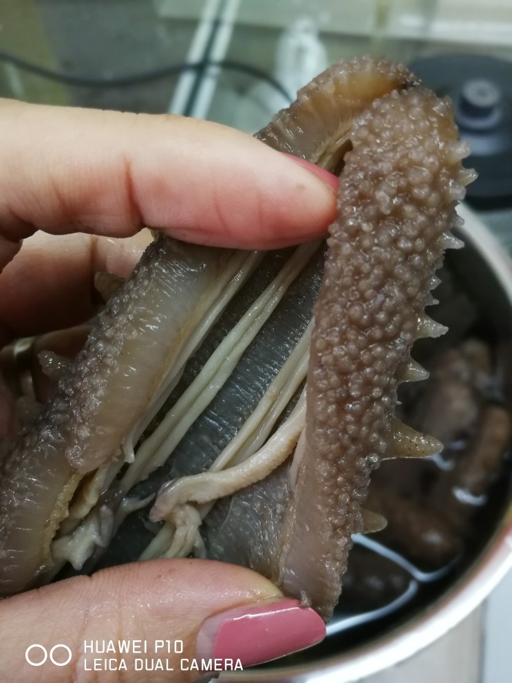 泡发海参全过程,看到里面的白色粗筋了吧 横向挑断 有助于泡发