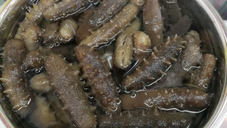 泡发海参全过程,凉透 捞出放入加有冰块的纯净水中 浸泡48小时 每天换新的纯净水
