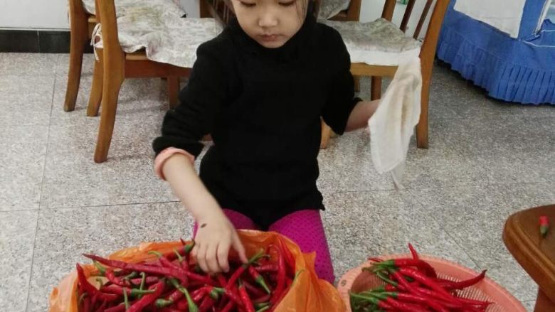 鲜香牛肉辣酱,挑选<a style='color:red;display:inline-block;' href='/shicai/ 90062'>新鲜红辣椒</a>,用拧干的抹布一个个擦干净,晾干
