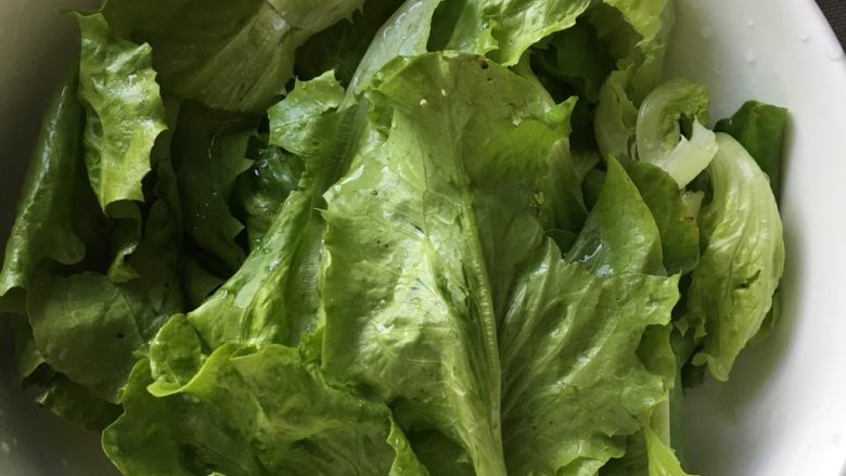 无辣～水煮肉片,<a style='color:red;display:inline-block;' href='/shicai/ 121'>生菜</a>浸泡、洗净，直接铺到碗底