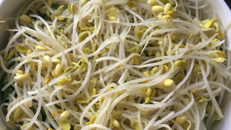 无辣～水煮肉片,捞出豆芽，沥水，铺在生菜上