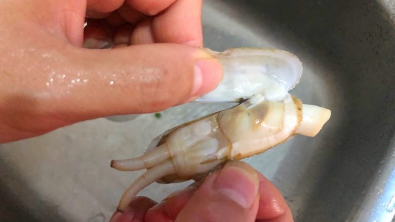 老蛏豆腐,老蛏去掉外壳,把蛏肉旁边的黑线撕掉,去不弄好清洗干净