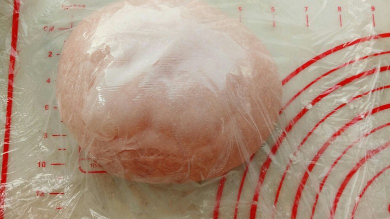 花朵椰蓉吐司,面团用手再次揉圆盖保鲜膜松弛20分钟。
