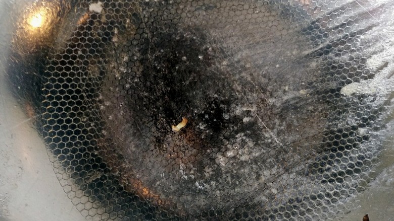 家常芹菜粉条炒肉,羊肉起锅备用重新放油