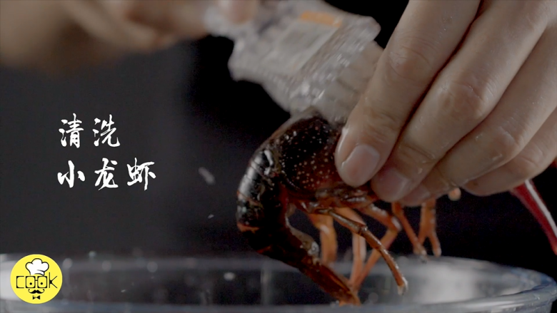 1分钟学会夜宵届扛把子『卤味麻辣小龙虾』,用刷子清洗<a style='color:red;display:inline-block;' href='/shicai/ 285'>小龙虾</a>,一定要清洗干净