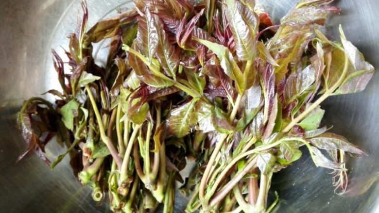 香椿拌豆腐,买来的新鲜香椿用淡盐水泡一下,洗净,新鲜的嫩香椿叶子是紫红色的