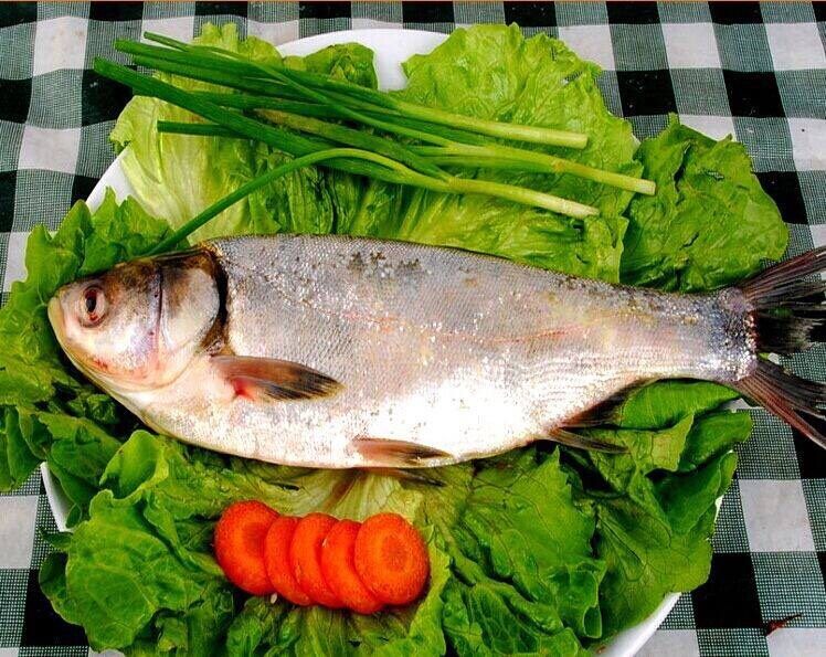 烤鱼-白鲢,准备鱼。片开 用盐 料酒 糖 蒜粉 姜片 葱 蒸鱼豉油 均匀涂抹腌制2小时