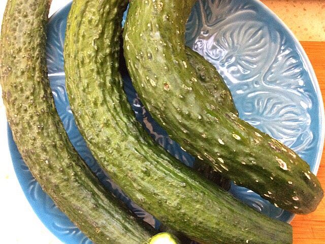 菌类料理+白玉菇黄瓜鸡蛋饺子,<a style='color:red;display:inline-block;' href='/shicai/ 54'>黄瓜</a>洗净擦丝,顺丝长在切碎