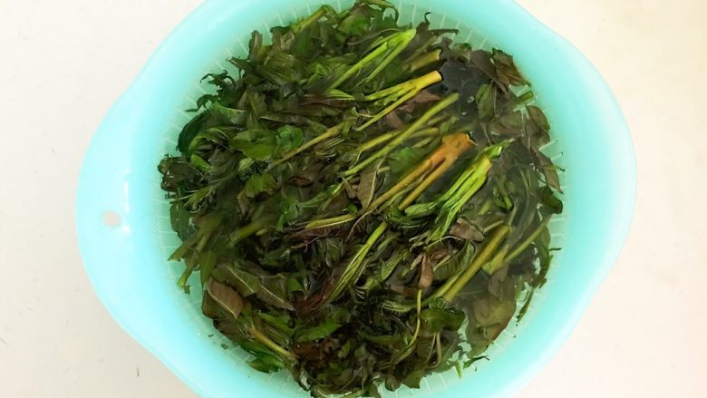 香椿系列之二 香椿鸡蛋饼,把香椿清洗干净