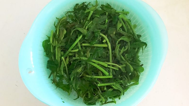 香椿系列之四 法式香椿煎饼,把焯好的香椿捞出来,冷水过凉