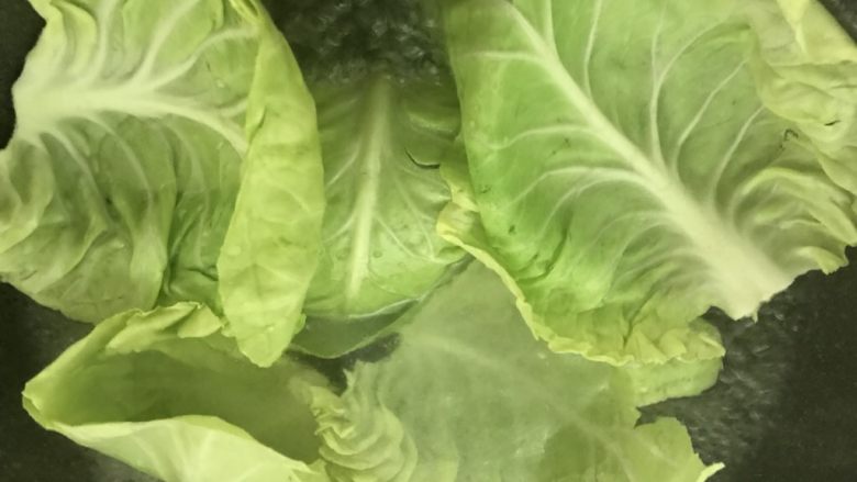 这样荤素搭配极好的,翡翠白玉卷,大火,炒锅烧开水,加点盐和油,再把完整的包菜叶放入灼熟。