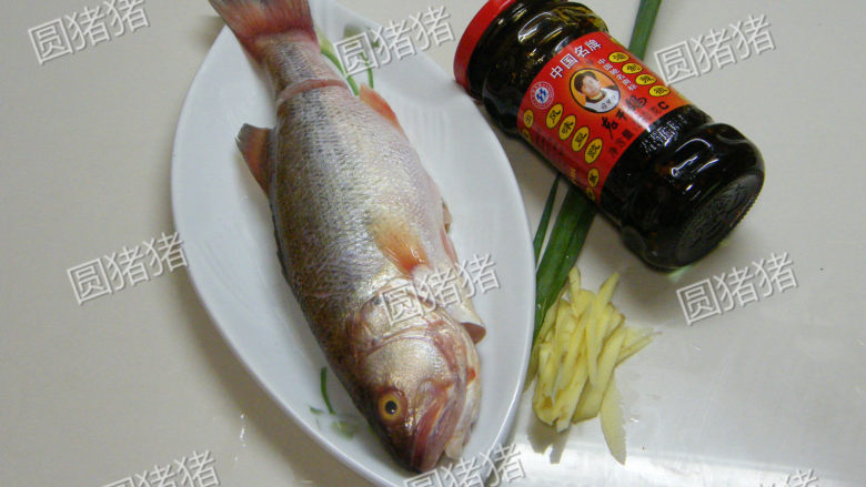 老干妈豆豉蒸鱼——懒人也能出好菜,新鲜鲈鱼去肚去鳞,洗净备用,<a style='color:red;display:inline-block;' href='/shicai/ 3232'>香葱</a>切段,生姜切丝。
