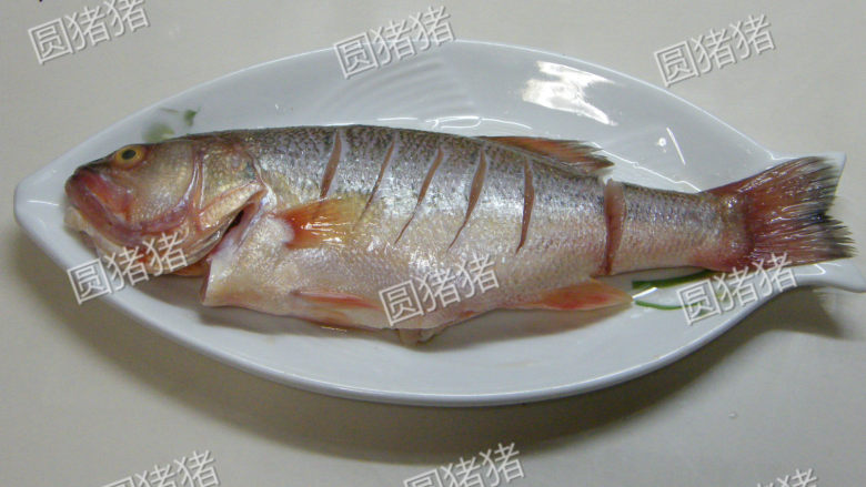 老干妈豆豉蒸鱼——懒人也能出好菜,取盐1/4小匙,<a style='color:red;display:inline-block;' href='/shicai/ 718'>料酒</a>1小匙,涂抹在鱼身上,腌制10分钟。