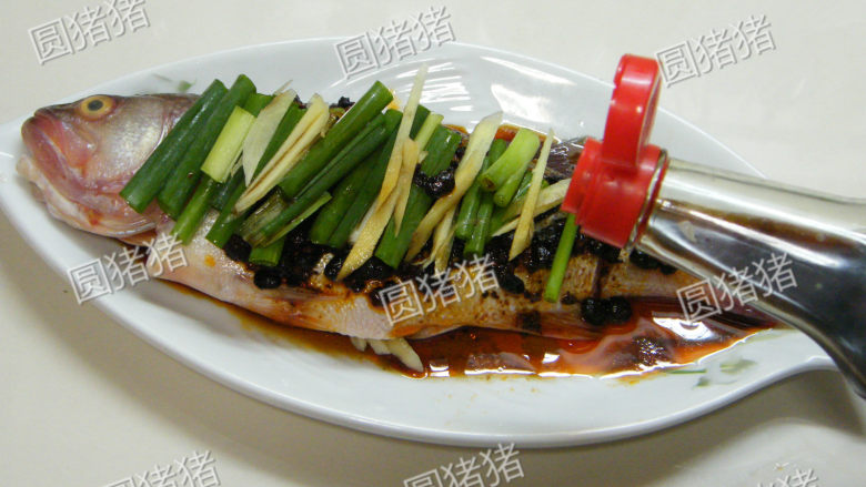 老干妈豆豉蒸鱼——懒人也能出好菜,再在鱼表面铺上葱段,姜丝,在鱼盘边上淋少许<a style='color:red;display:inline-block;' href='/shicai/ 788'>生抽</a>。