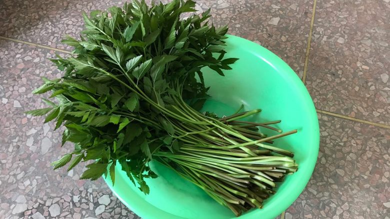 蒜香辣子凉拌野芹菜,剪了一些回家