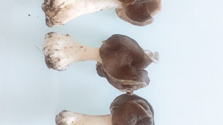 野蘑菇面条,纪念一下我的小成果!还有几颗太小没摆出来,自行脑补一下画面^o^