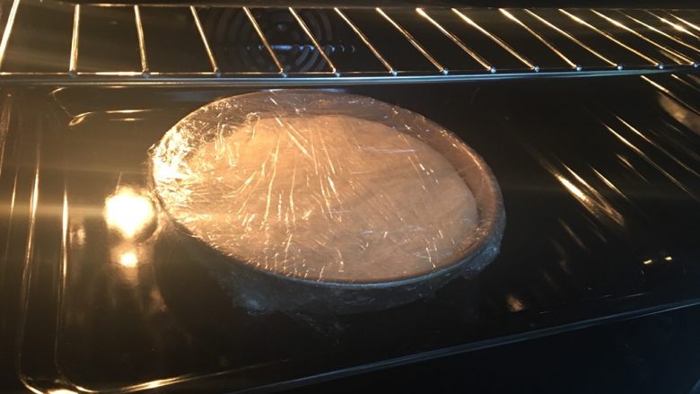 超正宗的必胜客披萨🍕做法,夏天可以直接发酵,不然就放到烤箱35度左右发酵五十分钟