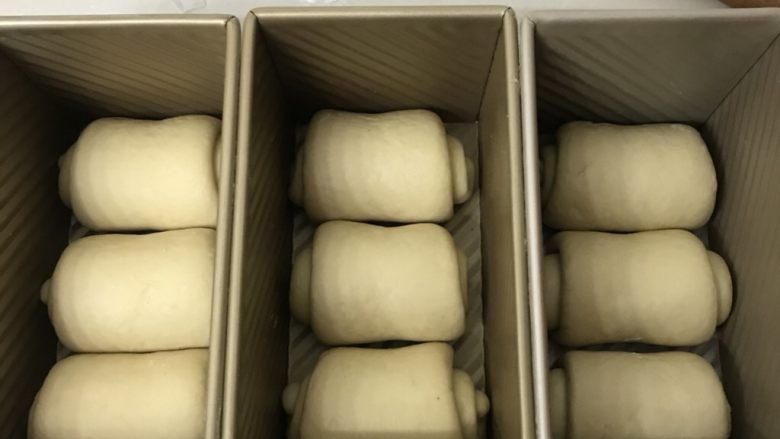 荷香茯茶奶茶吐司,全部做完顺一个方向放入吐司盒,送进发酵箱温度在34度湿度保持在80%左右