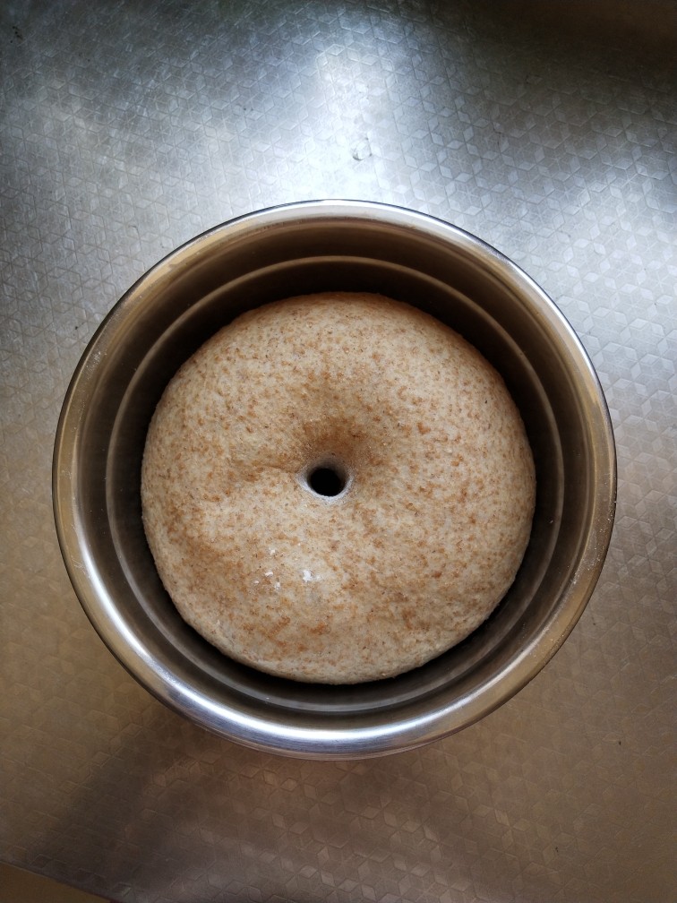 纯全麦～裸麦面包
(王后全麦面粉),发酵好的面团用手戳洞不会回弹